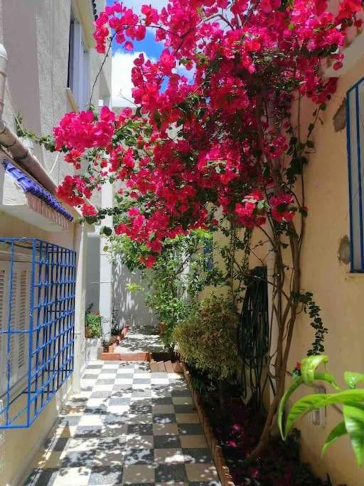 Maison A El Omrane . Apartment Tunis